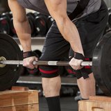 ������ ����� ����� �������