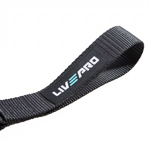 ���� ��� ������� ����� / ������ ����� LivePro LP8403