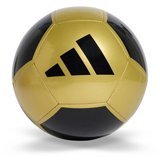 ������ ����� EPP Club ���� �������� ���� �����, ��� ���� 5 �������� �� ������ �������.