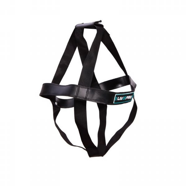 ������ ��� LivePro LP8101 Tornado Ball