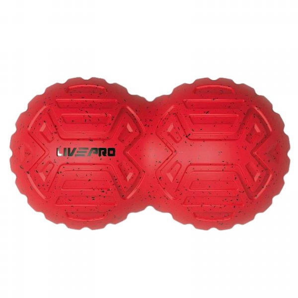 ���� ����� ����� LivePro LP8509 